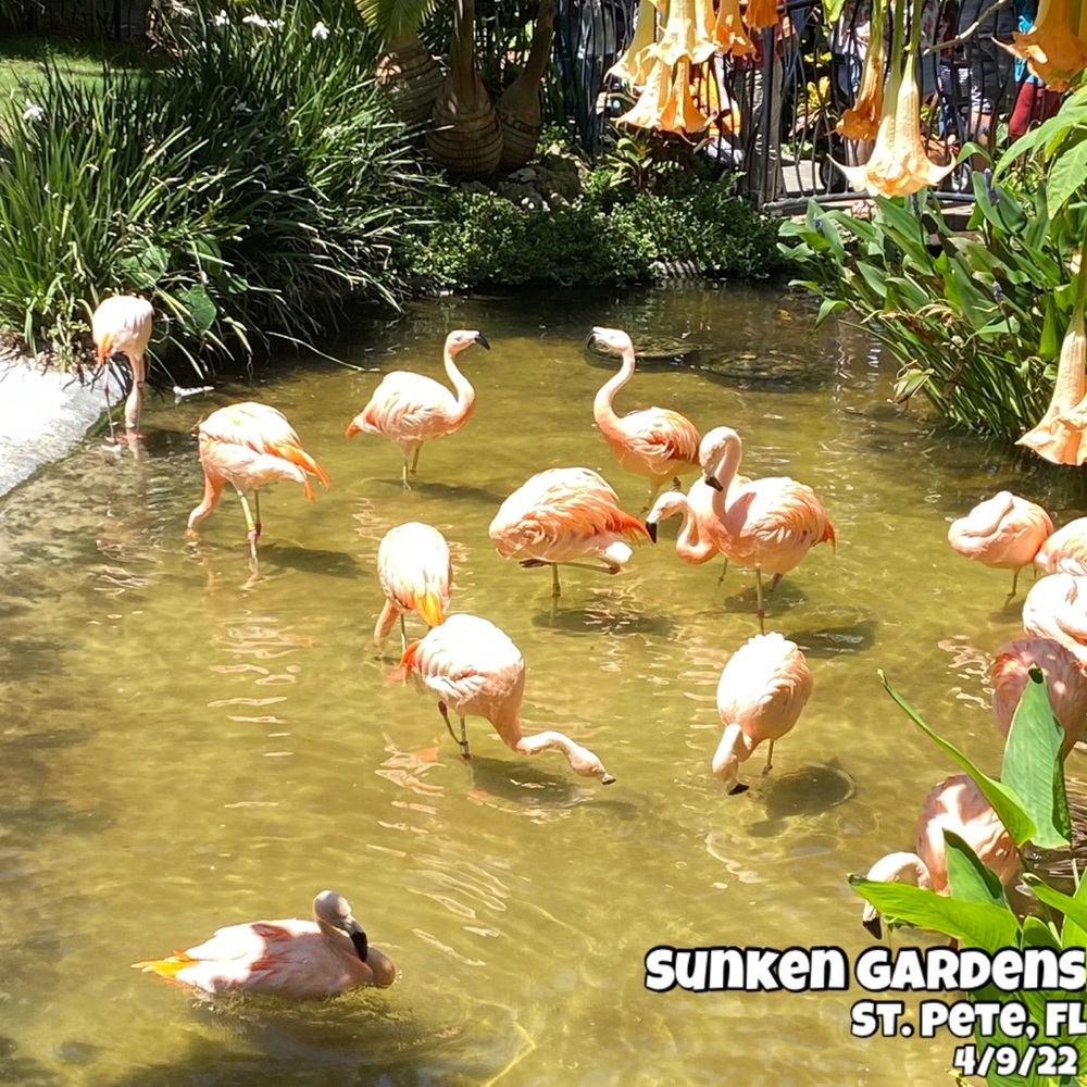 Listing FULL! Please ❤️ NEW listing next door! - Picture 13 of 16